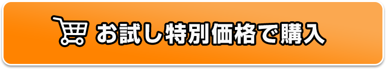 お試し特別価格で購入